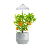 Osvetlenie pre pestovanie rastlín