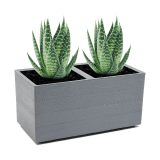 Moderní květináče pro domácí a venkovní rostliny