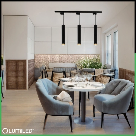 Stropné závesné svietidlo 29cm Reflektor GU10 LED ELIGIS Black LUMILED