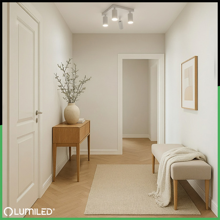 Stropné svietidlo Plafond SPOT TUBA Reflektor Halogénové svietidlo 4x GU10 TABULA LUMILED