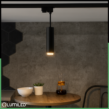 Stropné závesné svietidlo 29cm Reflektor GU10 LED ELIGIS Black LUMILED