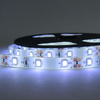 LED pásik SMD 2835 4,8 W/m 200 lm/m 60LED/m 12V 6500 K studená biela IP20 Roll 5 m Ecolight