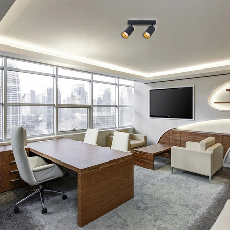 Nástenná zásuvka Povrchová lampa Pohyblivá 2x GU10 čierna zlatá matná Eris Masterled