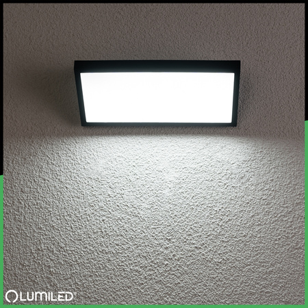 Vonkajšia záhradná lampa CCT nástenná lampa 20W LED IP44 MAVIS LUMILED