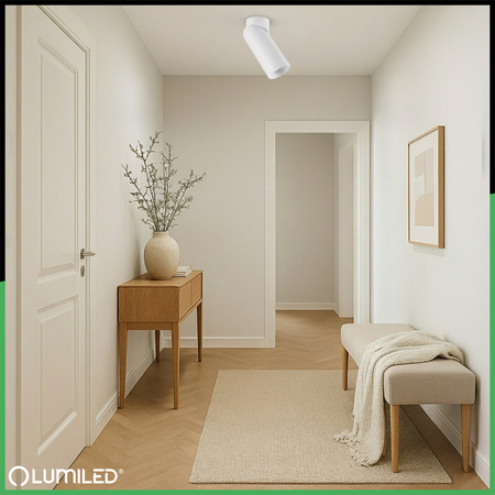 SPOT TUBA Reflektor Stropné svetlo 1x GU10 TABULA LUMILED