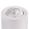 HALOGEN SURFACE ALUMINIUM WHITE SPOT TUBA 10cm pre LED GU10 Bellalux