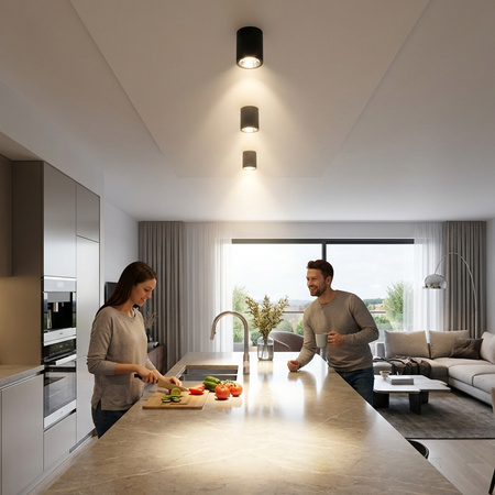 Stropné svietidlo APUS 13 Spot TUBA čierna E27