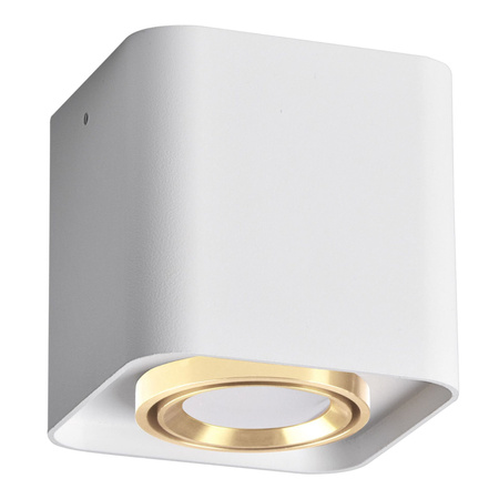 Bodové svietidlo GU10 biele XENO Sanico Goldlux na povrchovú montáž