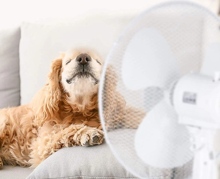 Podlahový ventilátor Stojanový ventilátor Cirkulátor 40W Biely tichý izbový ventilátor