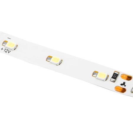 LED pásik 12V 24W 300LED 2835 studená biela 8mm 5m