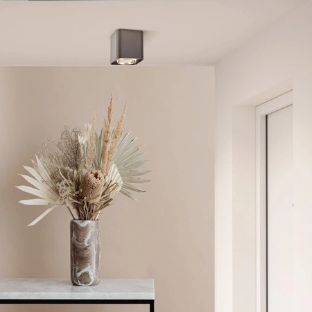 Spot GU10 Black Gold XENO Sanico Goldlux Svietidlo na povrchovú montáž