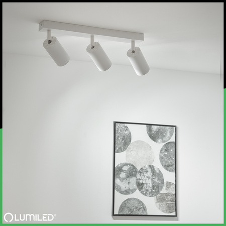 SPOT TUBA stropné svietidlo Reflektor Halogénové svietidlo 3x GU10 TABULA LUMILED