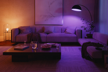 2x LED žiarovka E27 A60 9W = 75W 1100lm 2000-6500K CCT + RGB SMART Smart Bluetooth ZigBee White and Color Ambiance + BRIDGE Bridge + 1080p Full HD IP kamera + Bezpečný kontaktný senzor Philips HUE Open/Close