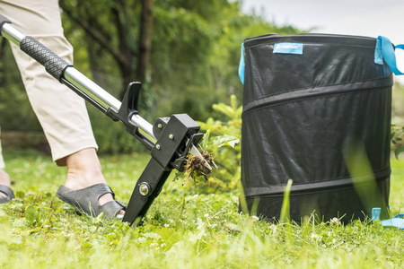 Záhradný nástroj na odstraňovanie buriny z trávnikových dlaždíc nastaviteľný IDEAL CELLFAST
