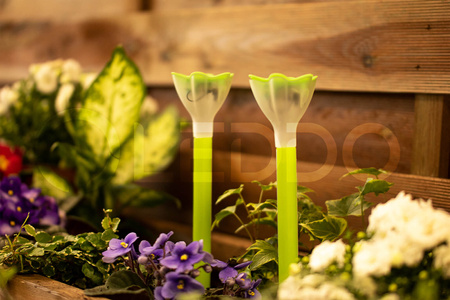 Záhradná lampa LED so solárnym pohonom TULIPANEK Green