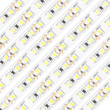 LED pásik 12V 48W 600LED 2835 studená biela 8mm 5m