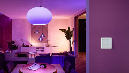 Modul nástenného spínača reléového ovládača Zigbee Bluetooth Hue Modul nástenného spínača Philips HUE
