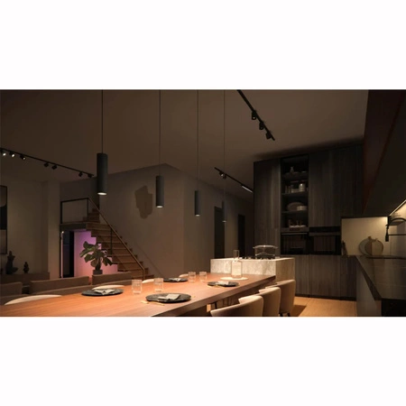 LED 5,1 W 510lm IP20 Biela a farebná atmosféra RGB + TW Black Smart SMART Zigbee Bluetooth Perifo Stropné závesné svietidlo Philips HUE