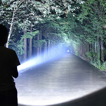 LED gumová baterka Ručná batéria 2xAAA 80lm DURACELL