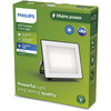 LED reflektor 30W 3200lm 3000K IP65 Black Lois Philips