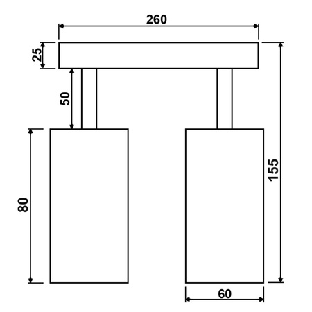 Stropné reflektorové nástenné svietidlo 2xGU10 QUANTUS White