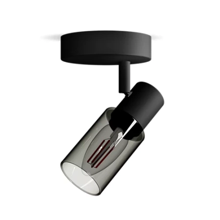 Nástenné svietidlo Nástenné svietidlo E14 Black Palms Philips