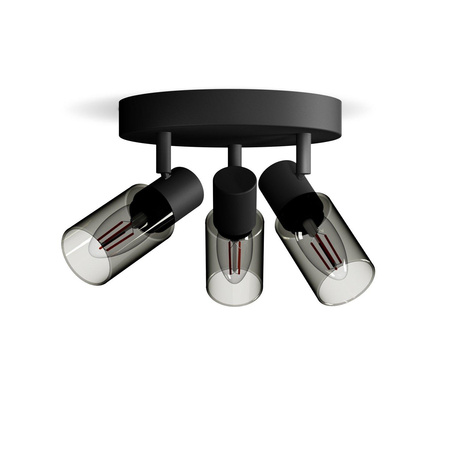 Stropné svietidlo reflektor 3x E14 Black Palms Philips