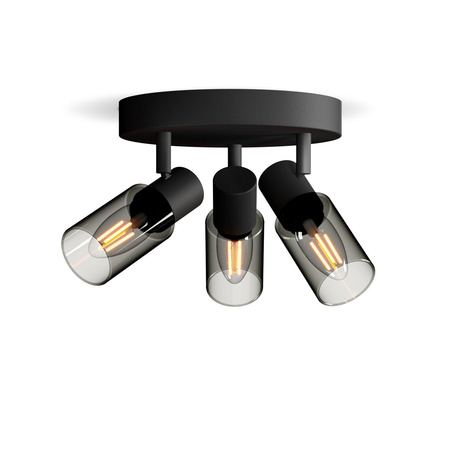 Stropné svietidlo reflektor 3x E14 Black Palms Philips