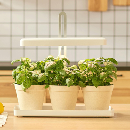 LED lampa na podporu rastu rastlín 20W 1200lm 3000K, teplá biela 110° biela Bloom Kobi