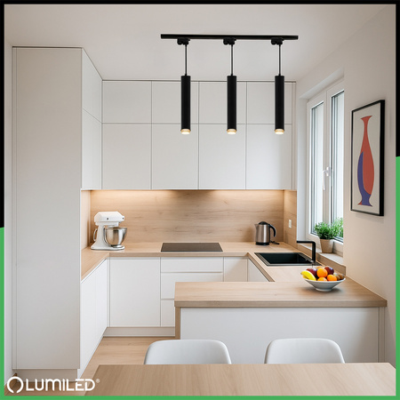 Stropné závesné svietidlo 29cm Reflektor GU10 LED ELIGIS Black LUMILED