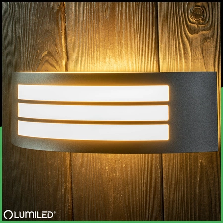 Vonkajšie nástenné svietidlo E27 Black IP44 FREESIA Lumiled Garden