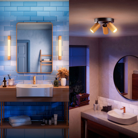 LED 10W 1500lm 2700K 62cm IP44 Copper Rover Philips nad zrkadlom