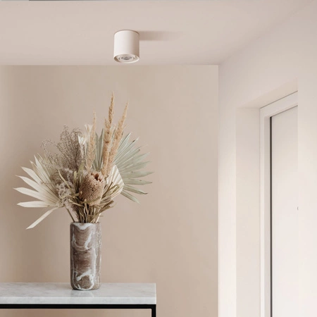 Povrchová montáž svietidla GU10 White Gold XENO Sanico Goldlux