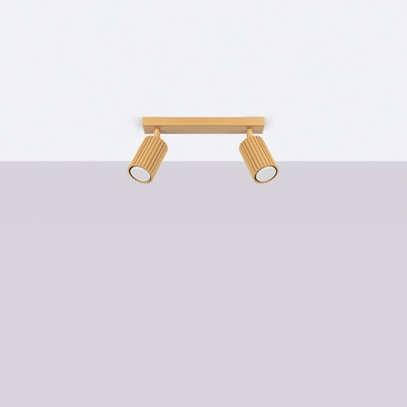 Bodové reflektorové stropné svietidlo Tuba 2x GU10 Gold Carbon Deep Space SL.1561 Sollux