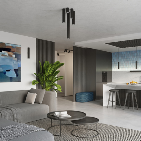 Závesné stropné svietidlo Tuba Spot 2x GU10 Black Carbon Deep Space SL.1574 Sollux