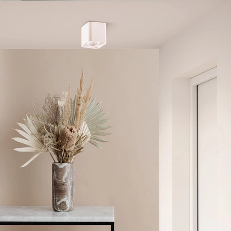 Bodové svietidlo GU10 biele XENO Sanico Goldlux na povrchovú montáž