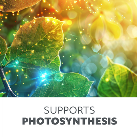 LED svetlo na podporu rastu rastlín 5W 220lm 3000K, teplá biela 110° biela batéria Verdi Kobi