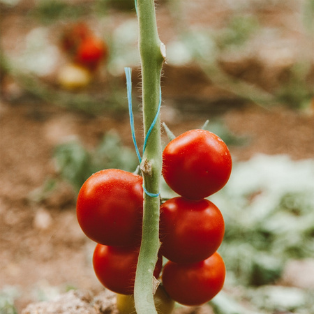 Záhradnícky špagát KORD Polypropylén CELLFAST