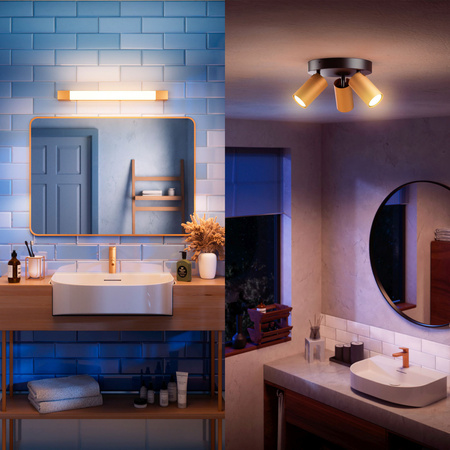 LED 5W 730lm 2700K 44cm IP44 Copper Rover Mirror Lamp Philips