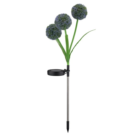 Allium Color Sanico Goldlux Solárne LED poháňané cesnakové záhradné kvety IP44 so súmrakovým senzorom