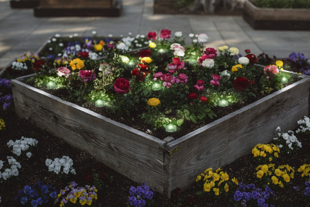 Dekoratívne LED svetelné body 2,5W 380lm RGB 9P Stmievateľné IP65 SMART+ WiFi Záhrada Ledvance