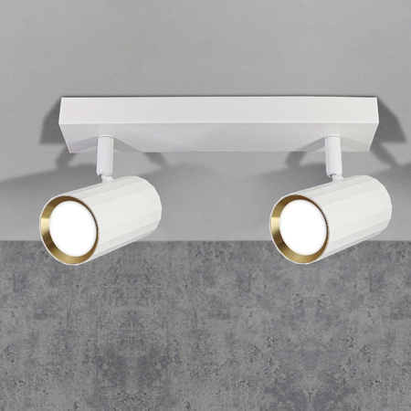 Nástenné a stropné reflektory 2x GU10 White Gold NICEA Sanico Goldlux
