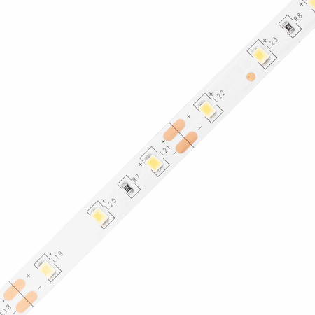 LED pásik 12V 24W 300LED 2835 Neutrálny 8mm 5m