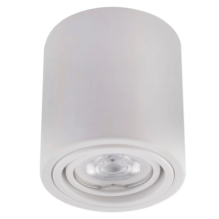 HALOGEN SURFACE ALUMINIUM WHITE SPOT TUBA 10cm pre LED GU10 Bellalux