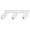 Stropné reflektorové nástenné svietidlo 3xGU10 QUANTUS White
