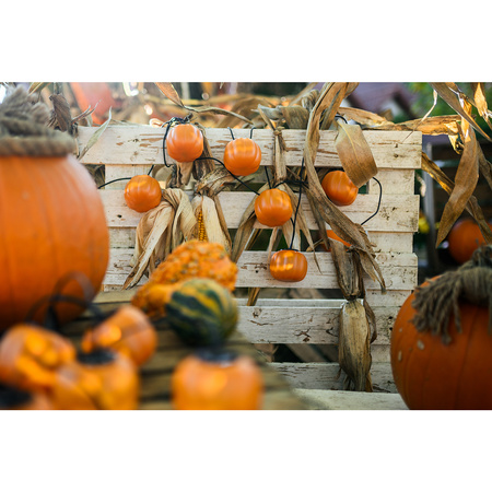 Batériový veniec 8xLED Dekoratívne tekvice 4,45 m Halloween svetlá + USB C