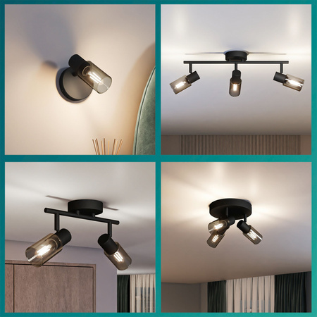 Stropné svietidlo reflektor 4x E14 Black Palms Philips