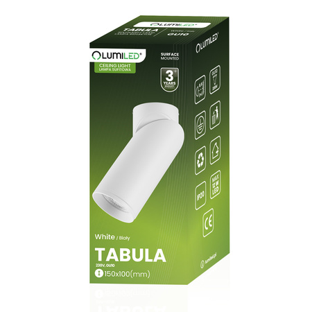 SPOT TUBA Reflektor Stropné svetlo 1x GU10 TABULA LUMILED