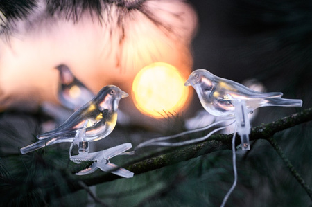 Solárna záhradná svetelná reťaz Birds On Clip 3,2 m IP44 Warm