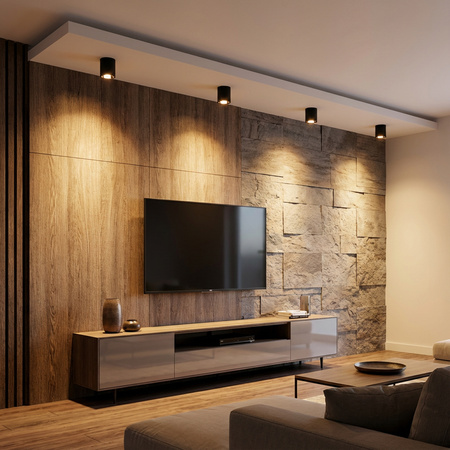 Stropné svietidlo APUS 10 Spot TUBA Black E27